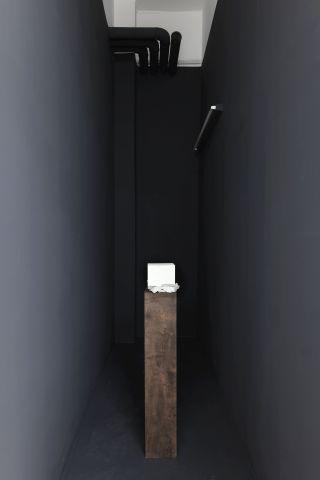 tl_files/photo/lichtung/Lichtung_3.jpg